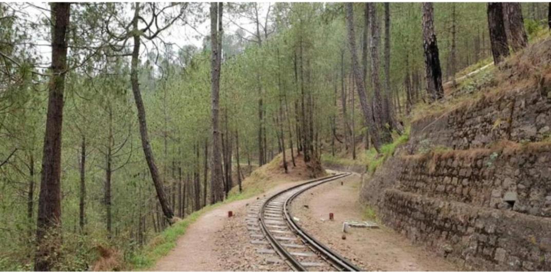 The Heritage Home Kasauli I Pine View Serviced Villa I Best Seller I Vacations I Family Events I Sky Bonfire I Kasauli By Exotic Stays المظهر الخارجي الصورة