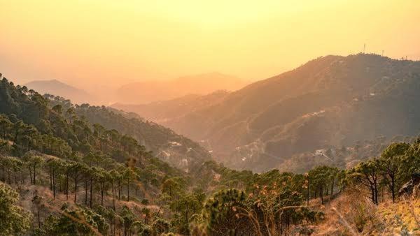 The Heritage Home Kasauli I Pine View Serviced Villa I Best Seller I Vacations I Family Events I Sky Bonfire I Kasauli By Exotic Stays المظهر الخارجي الصورة
