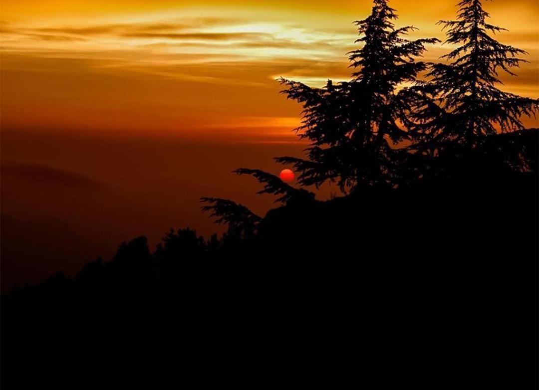The Heritage Home Kasauli I Pine View Serviced Villa I Best Seller I Vacations I Family Events I Sky Bonfire I Kasauli By Exotic Stays المظهر الخارجي الصورة