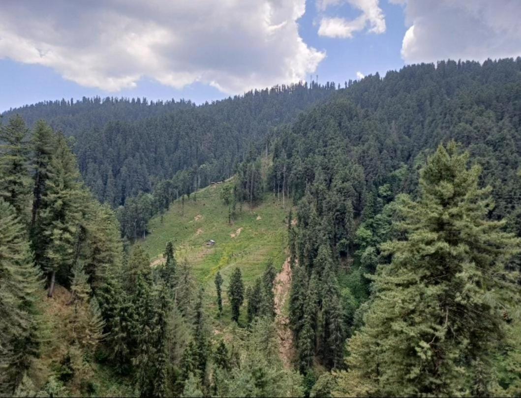 The Heritage Home Kasauli I Pine View Serviced Villa I Best Seller I Vacations I Family Events I Sky Bonfire I Kasauli By Exotic Stays المظهر الخارجي الصورة